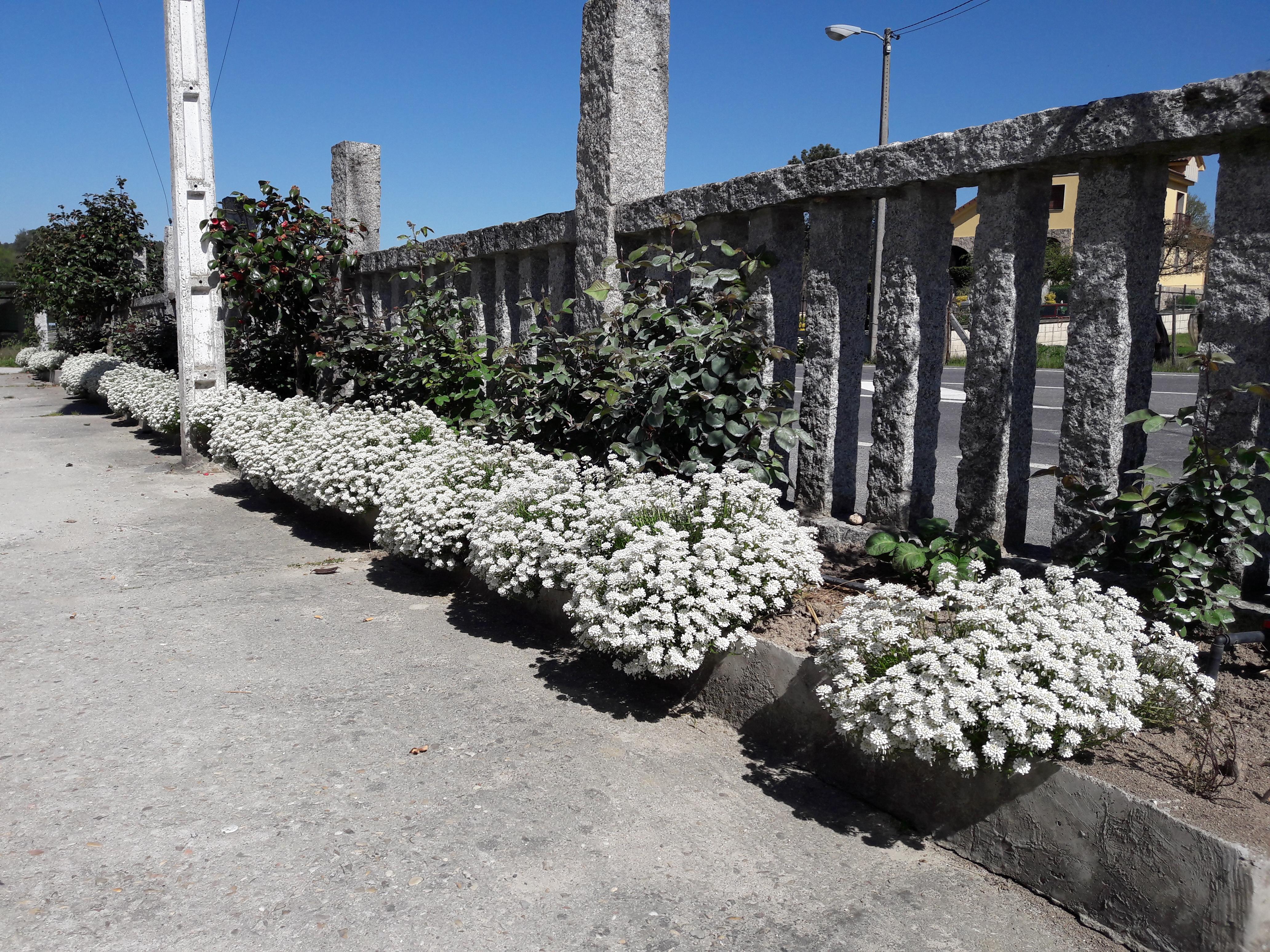 Hostal Sequeiros San Ciprián de Viñas Exteriör bild